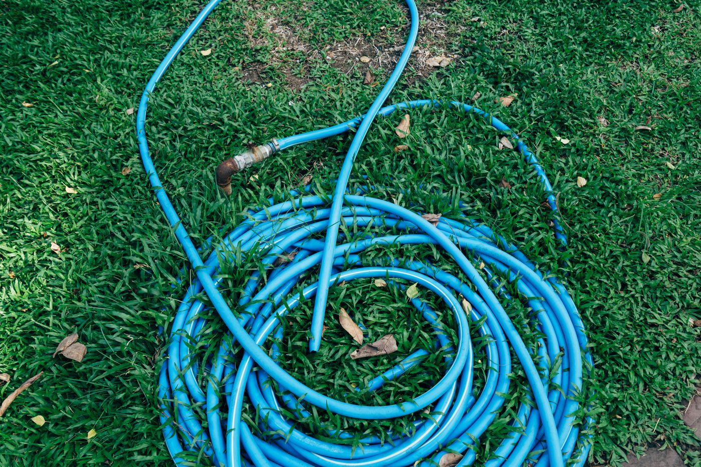 Coiled garden hose with connector